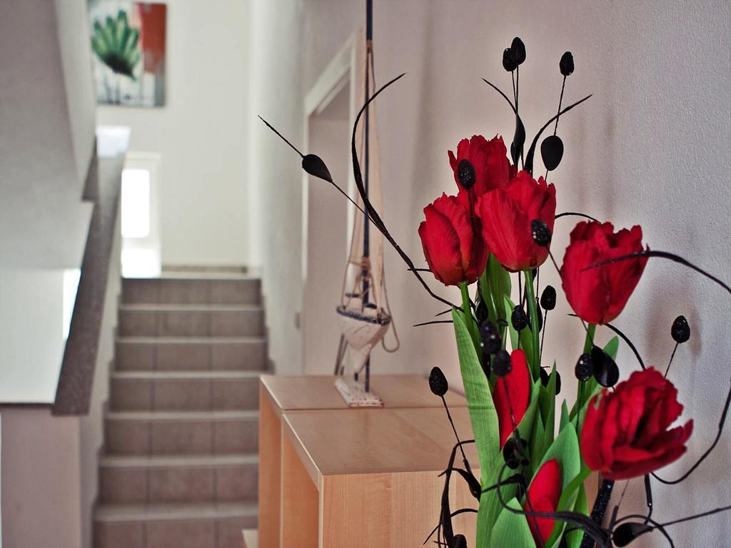 Apartments Paklenica Starigrad Paklenica Zewnętrze zdjęcie